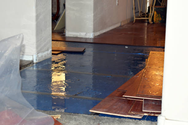 Professional Burst Pipe Cleanup technician working in Bailey, NC